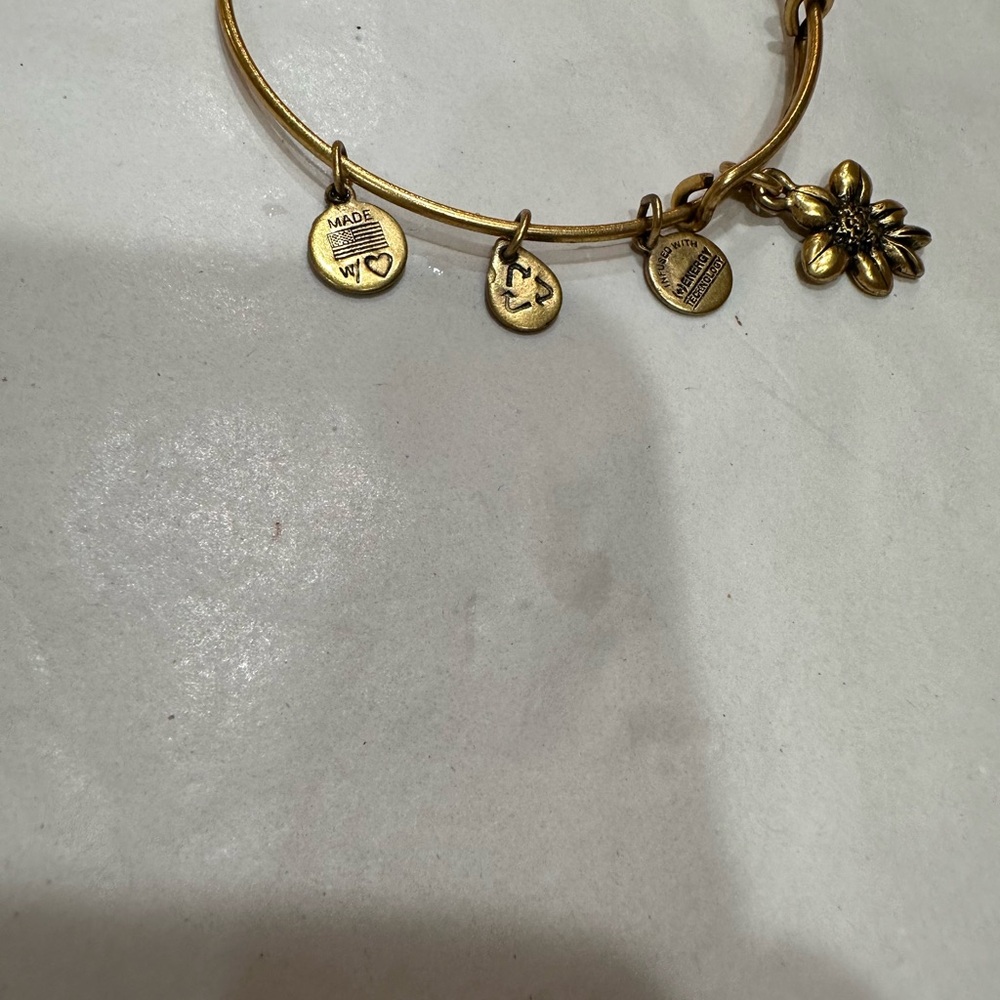 Alex and Ani Gold Charm Bracelet with Flower Pendant